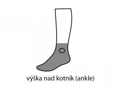 Hike Ultralight Merino Performance Ankle Women's